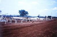 Cargill Agrícola - Feliz Natal