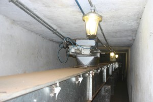 cargill agricola - cerejeiras